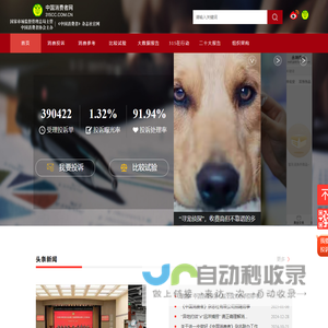 中国消费者